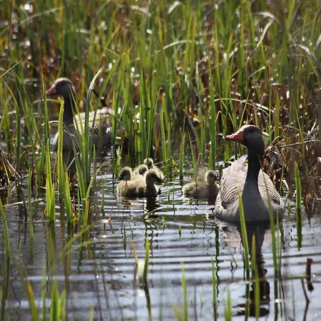 Tent With Private Kitchen And Bathroom