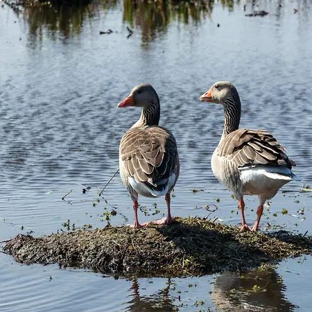 Tent With Private Kitchen And Bathroom Luxury tent *