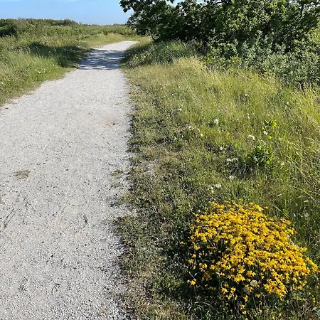 Luxury tent Tent With Private Kitchen And Bathroom