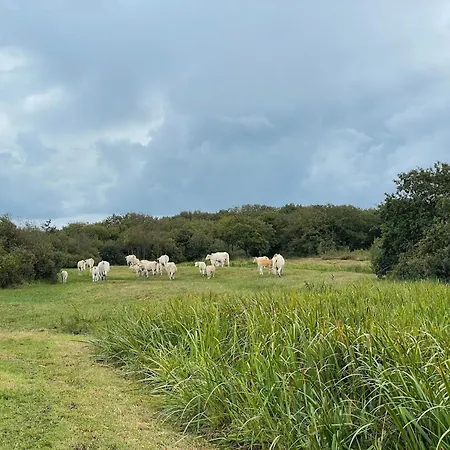 Tent With Private Kitchen And Bathroom * Callantsoog